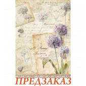 Бумага рисовая для декупажа Stamperia DFSA41122 "Лук декоративный", А4